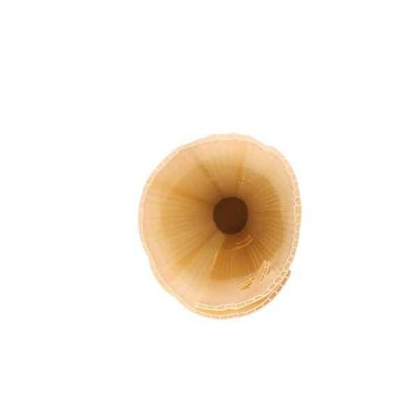 Tree Guard UV Stable Self Lock Tabbed Corrugated Plastic Set of 6 all season - Picture 8 of 8